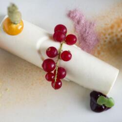 Sans Frontieres Dessert