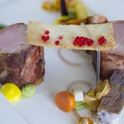 Sans Frontieres Gastronomy